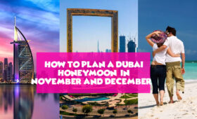 dubai tour