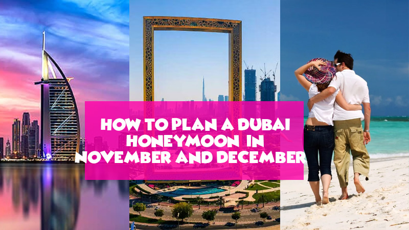 How to Plan a Dubai Honeymoon in November and December? 1 dubai tour