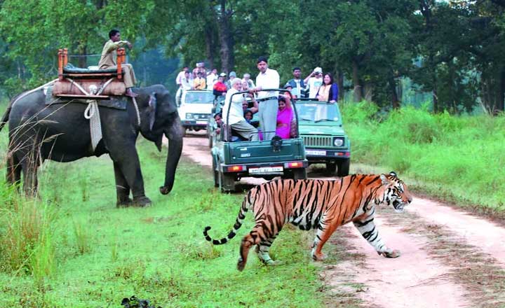 jim corbett tour