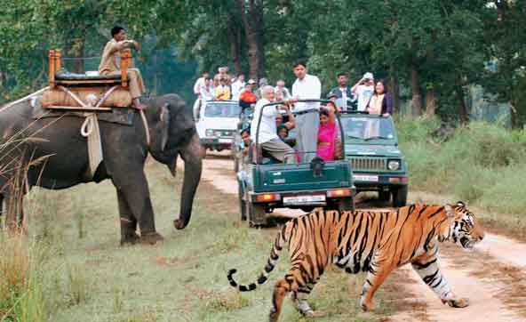 Bandhavgarh Tour Package