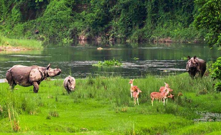 chitwan tour in nepal