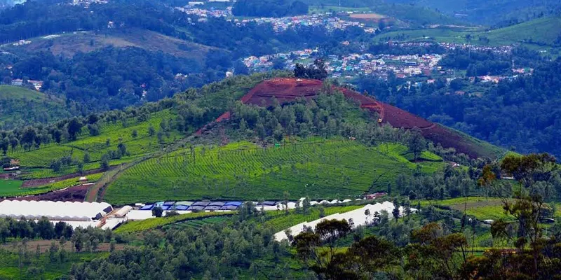 Doddabetta Peak,Coonoor