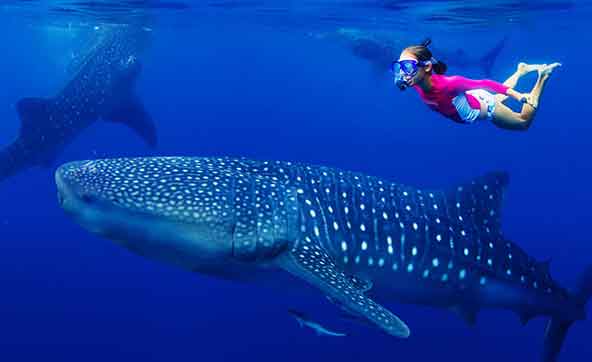 drive underwater Maldives