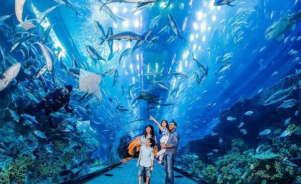 dubai aquarium