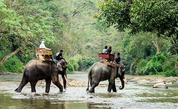 Elephant ride at JIm Corbett