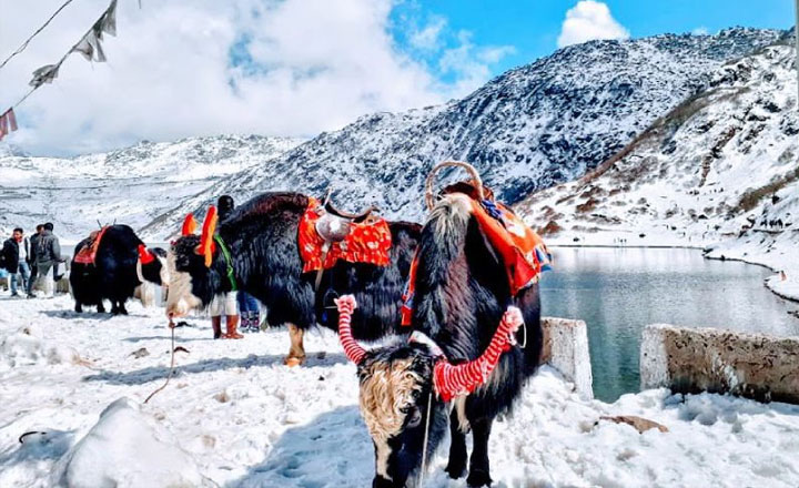 tsomgo lake Tour