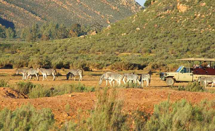 Garden Route Package