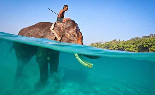 Havelock Island