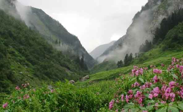 Himalayan National Park at Kufri