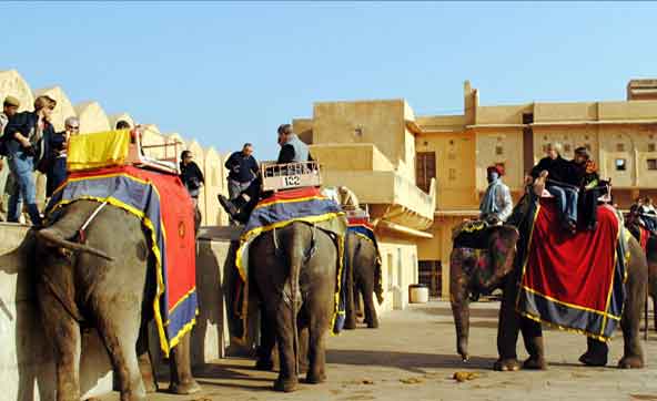 Jaipur Tour