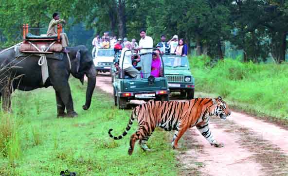 jim corbett