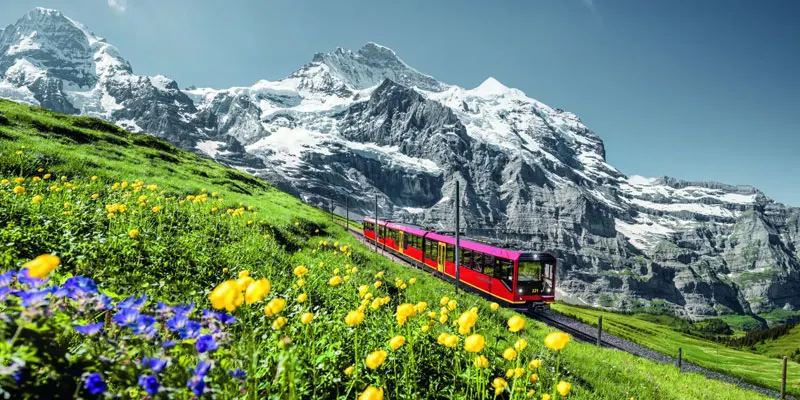 jungfraujoch Tour