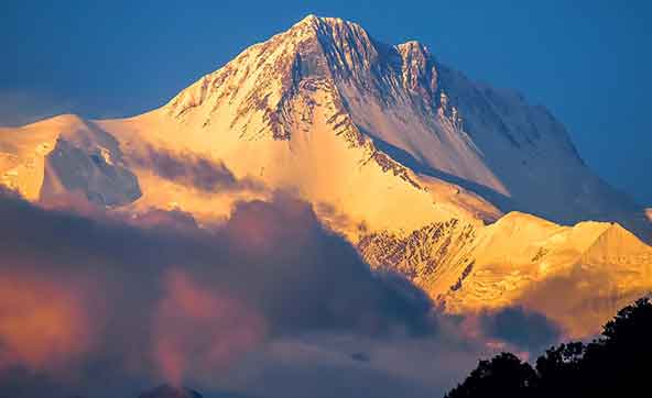 nepal Tour package