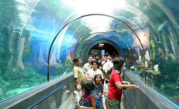 phuket aquarium