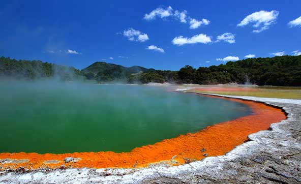 rotorua auckland