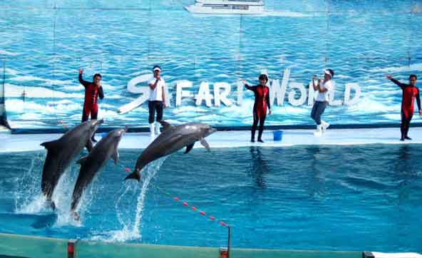 safari world Tour Packages