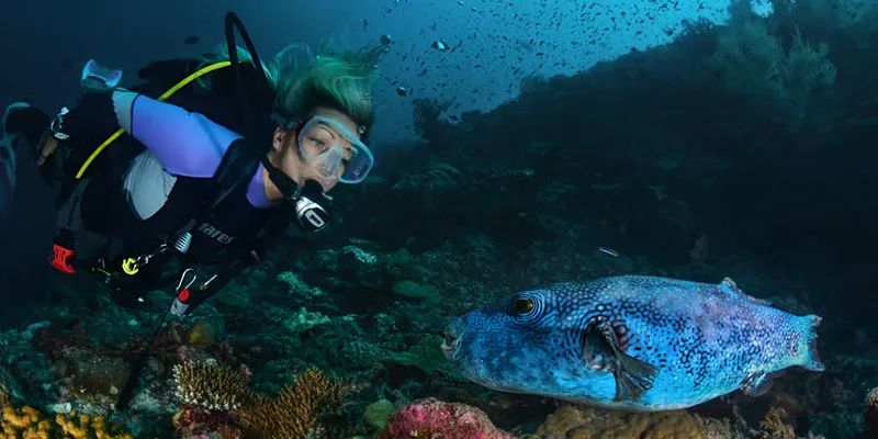 scuba diving Maldives