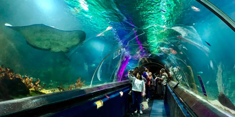 SEA LIFE Kelly Tarlton’s Aquarium