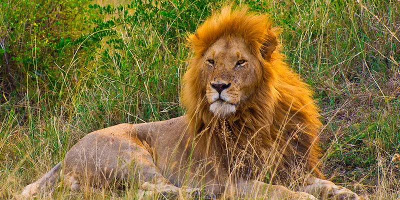 serengeti National Park