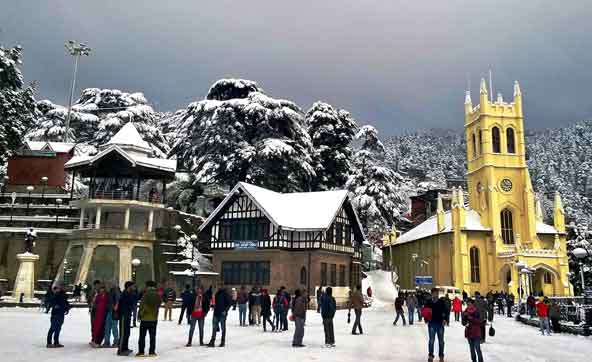 shimla tour