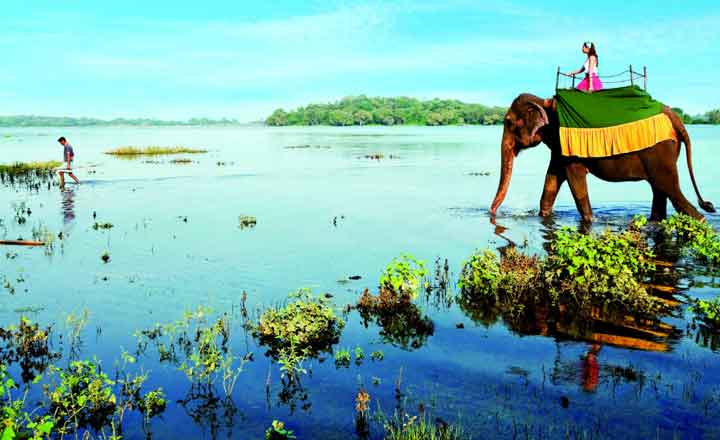 Honeymoon trip in Srilanka