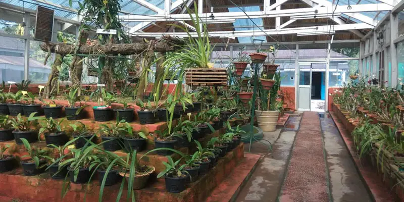 tipi orchidarium