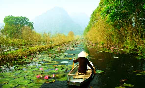 vietnam Honeymoon