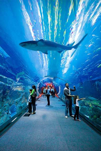 Dubai Aquarium