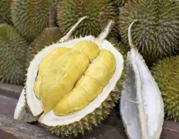 Durian