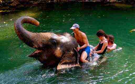 Elephant Trekking at Mahawangchang Elephant Camp