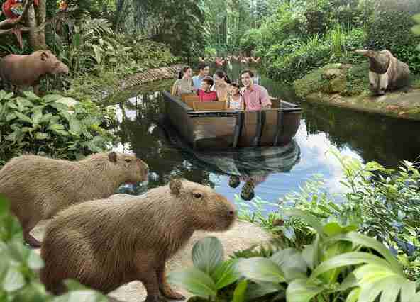 Enjoy a river Safari