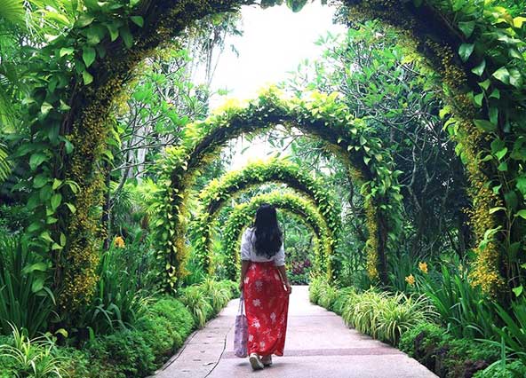 Witness the famous Singapore Botanic Gardens