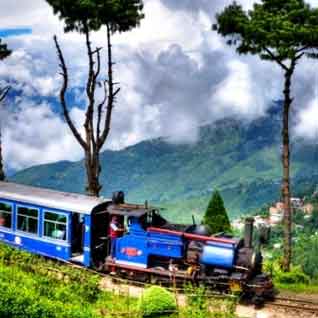 Darjeeling Tour