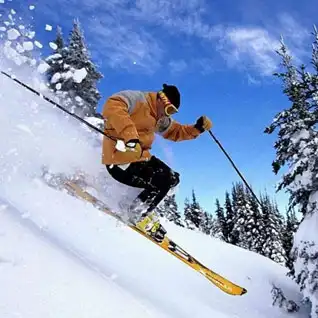 Skiing and Snowboarding 