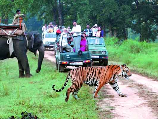 Jim Corbett with Nainital Tour