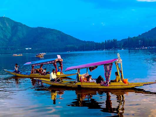 Kashmir Panorama