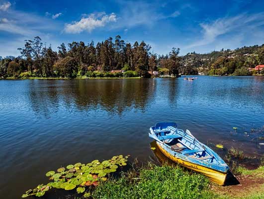 Bangalore Mysore Ooty Kodaikanal Tour Package