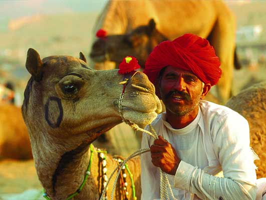 Magnificent Rajasthan Tour