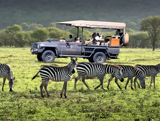 Serena Serengeti Safari Tour