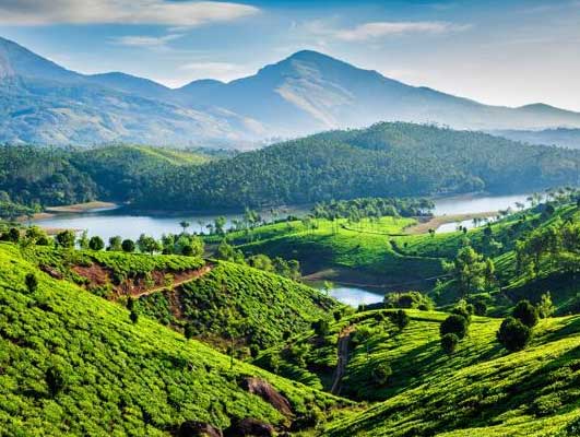 Splendid Munnar Kerala Tour Package