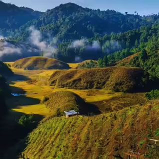 Visit Ziro Valley